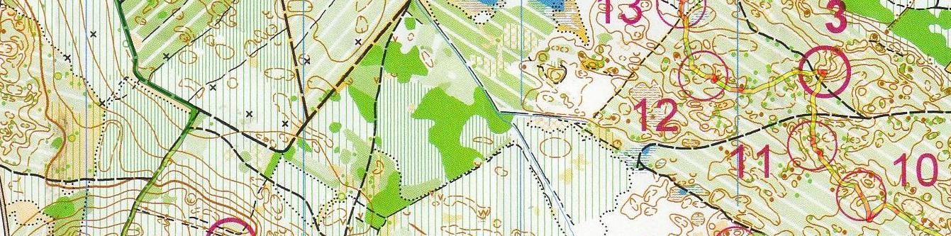 Cité de Carcassonne (29/03/2025)