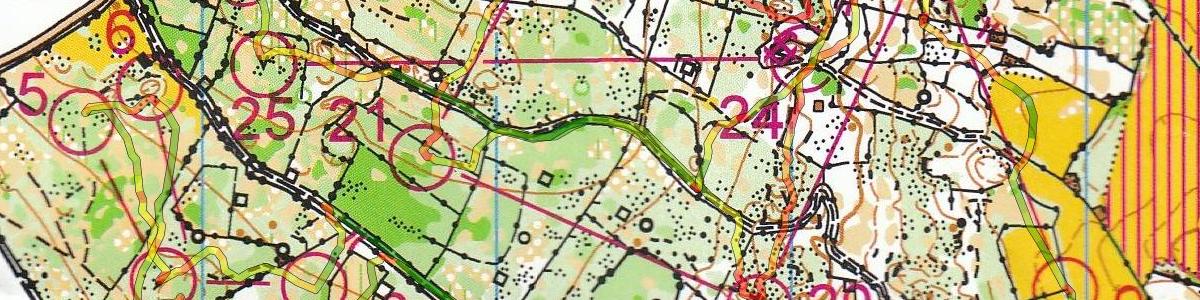 Championnat Régional LD Midi-Pyrénées