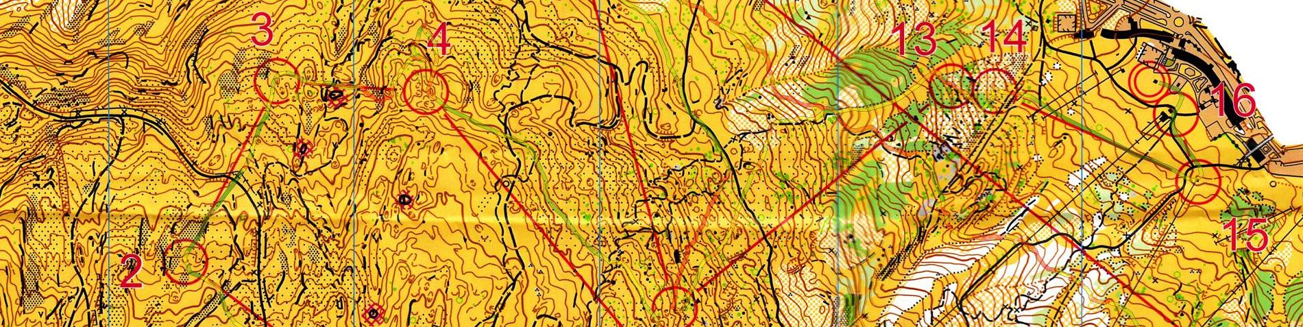 Championnat de France LD