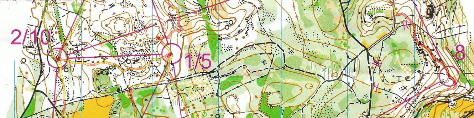 Championnat de France de Nuit