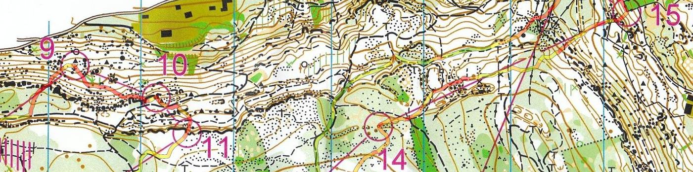 Championnat de France LD