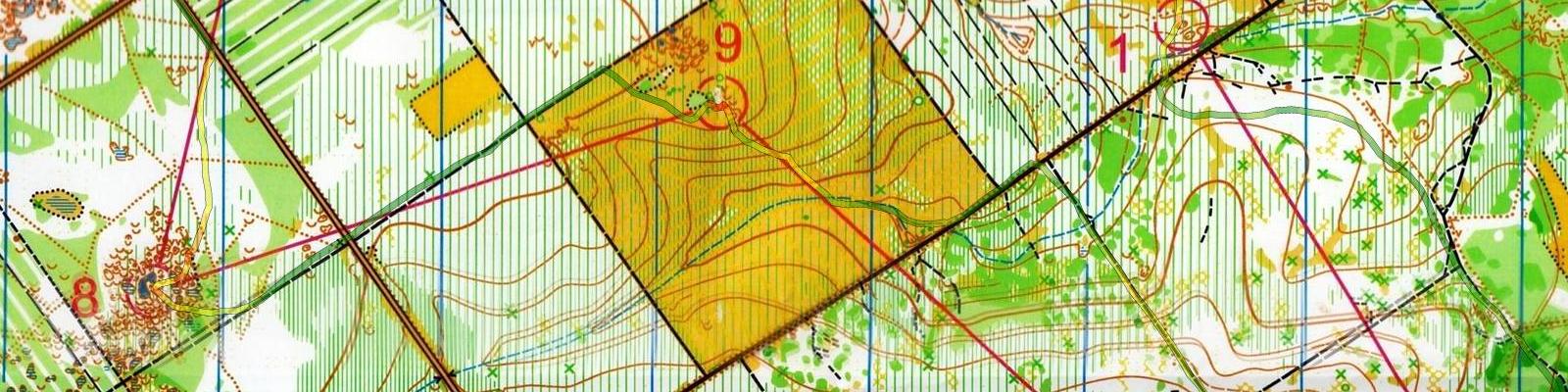 Championnat de France des Clubs