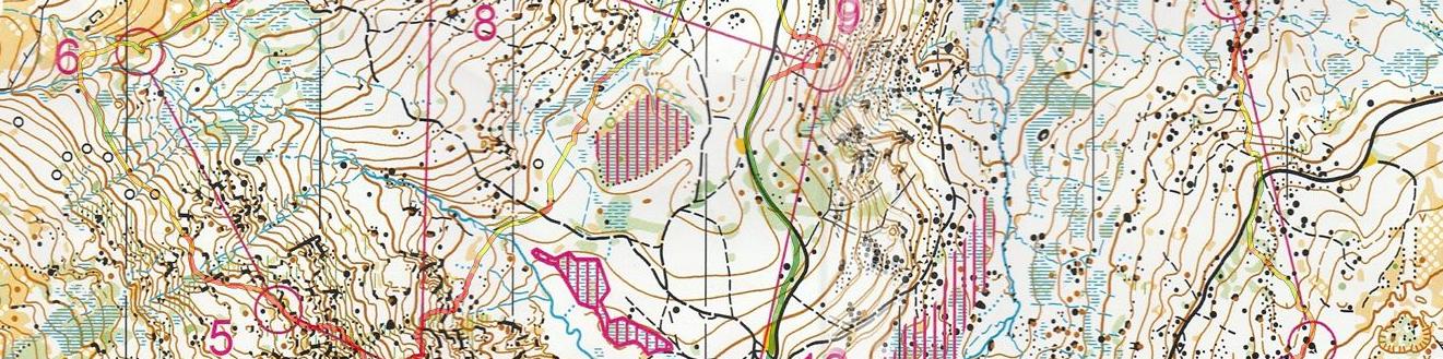 Régionale LD Rhône-Alpes