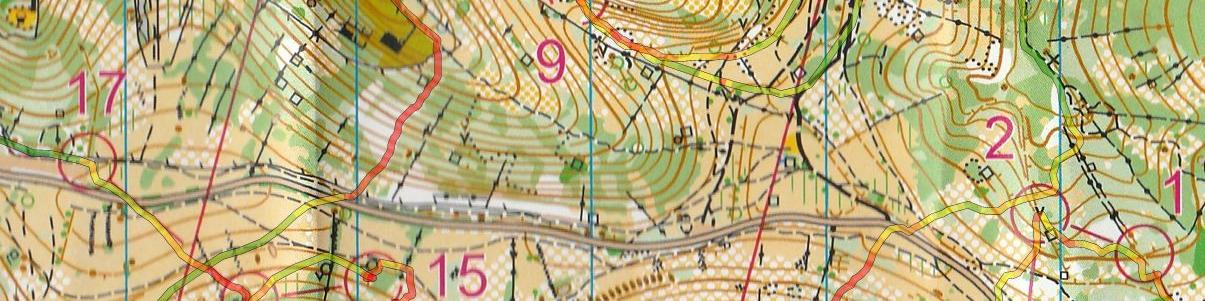 Régionale LD Midi-Pyrénées