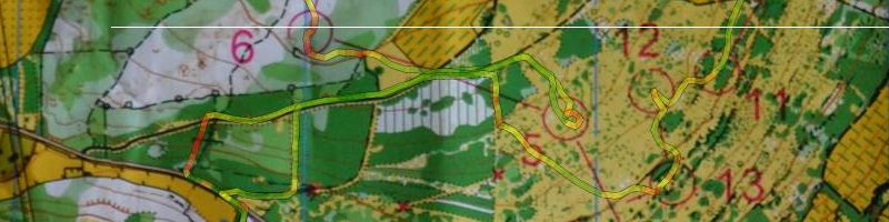 Championnat de France LD