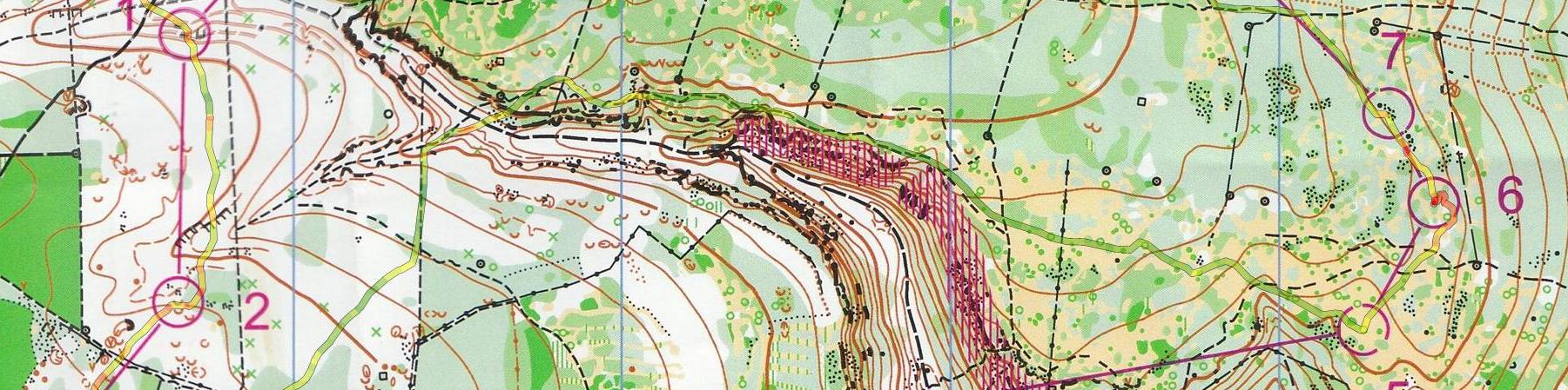Championnat de France de relais