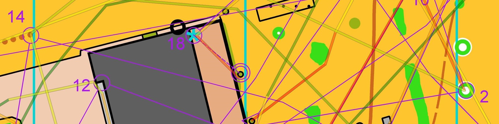 Nano Sprint in the garden (1/2)