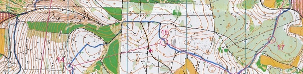 Championnat de France LD