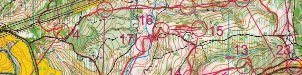 Championnat de France LD