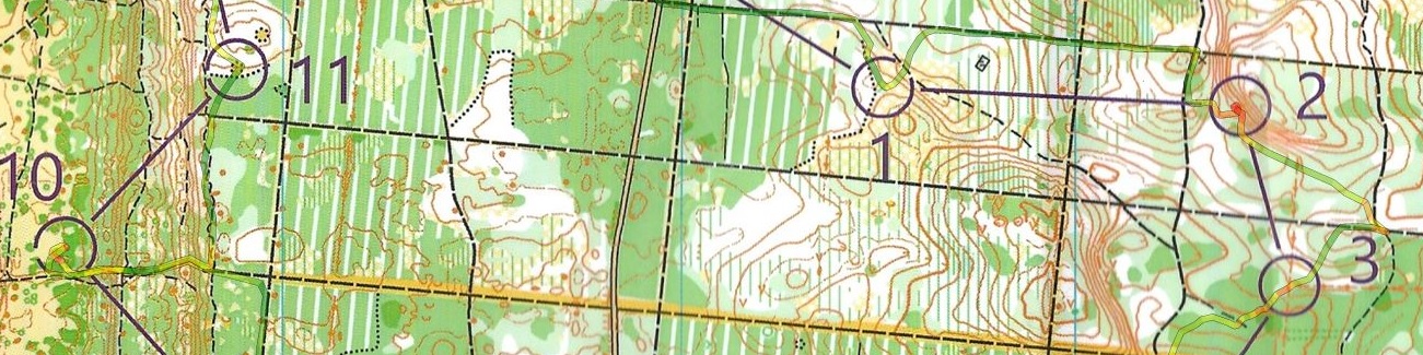 Régionale LD Pointe espagnole - Violet Long