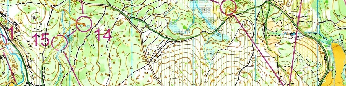 Championnat de France LD