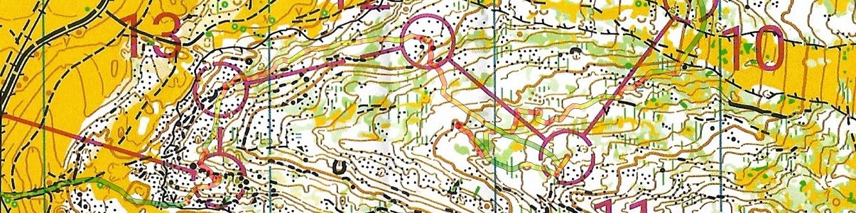 Championnat de France MD