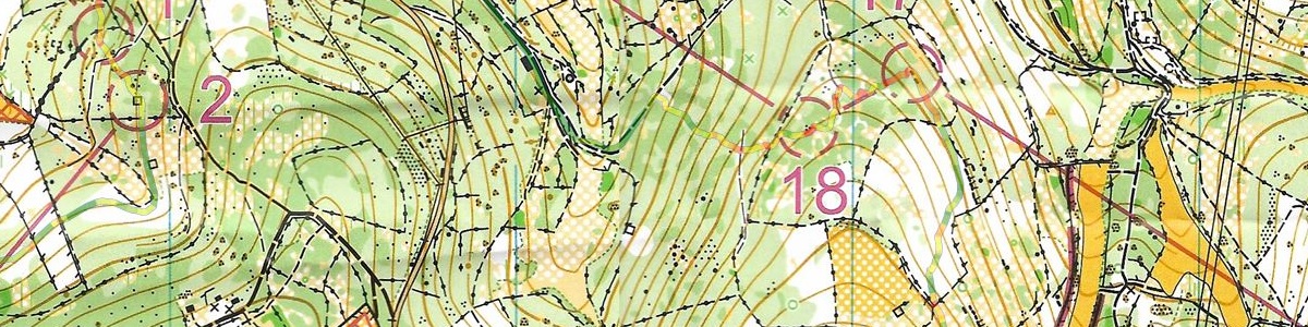 Championnat de France LD