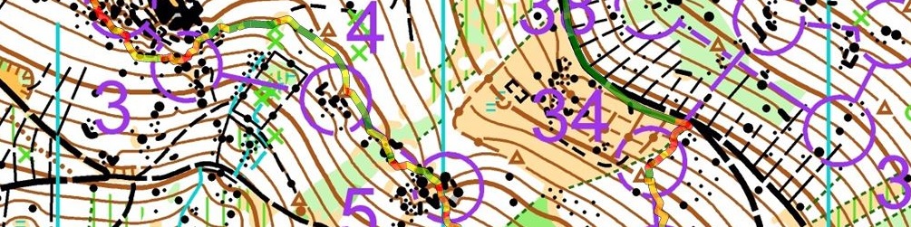 Challenge POP Manche 4 Forêt